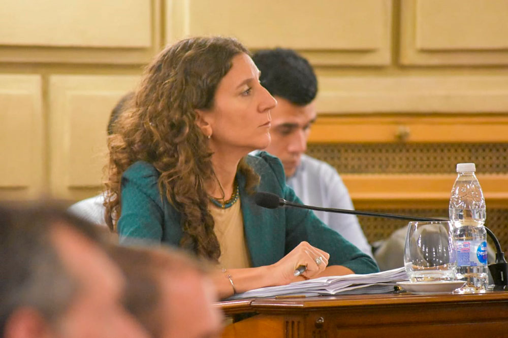 DI GREGORIO DEBUTÓ EN EL SENADO CON LEYES CONTRA LA INSEGURIDAD Y EL NARCOTRÁFICO